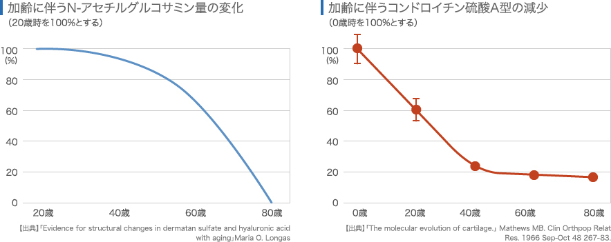 加齢に伴うN-アセチルグルコサミン・コンドロイチン硫酸A型の量の変化