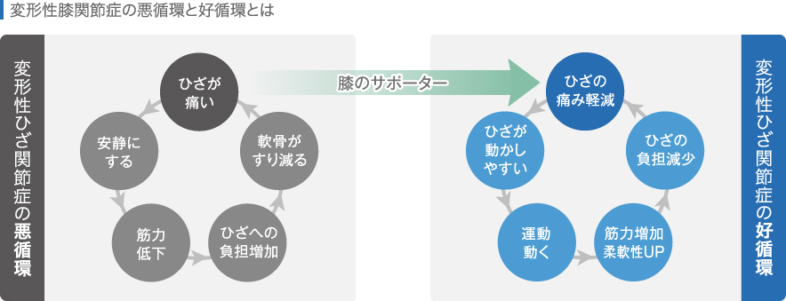 変形性膝関節症の悪循環と好循環