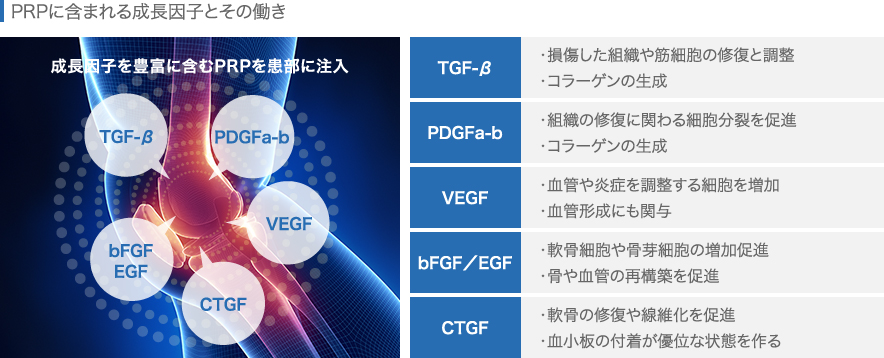 PRPに含まれる成長因子とその働き