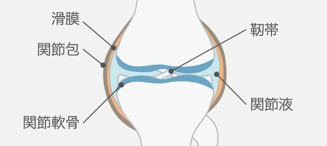 膝に水が溜まったらすぐ対処しましょう 専門医が理由を解説 ひざ関節症クリニック
