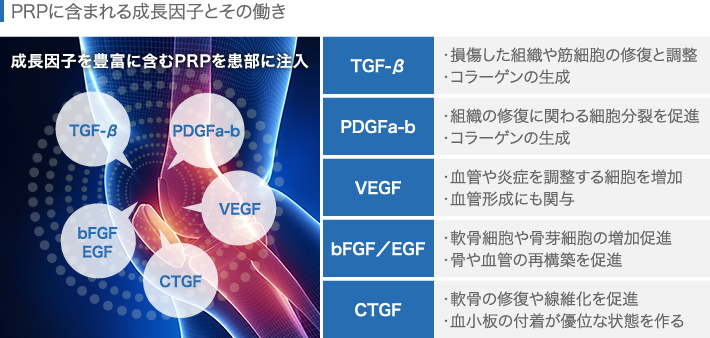 PRPに含まれる成長因子とその働き