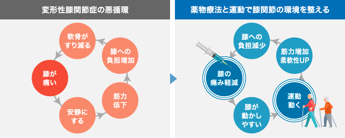 変形性膝関節症の悪循環・薬物療法と運動で膝関節の環境を整える