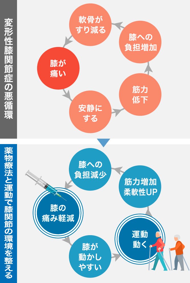 歩くと痛い膝を甘くみるな 医師が語る未来と回避する方法 整形外科医監修コラム
