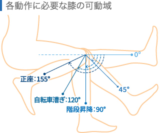 各動作に必要な膝の可動域