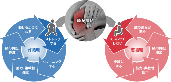 膝の痛みを軽減させる好循環 仕組みの図説