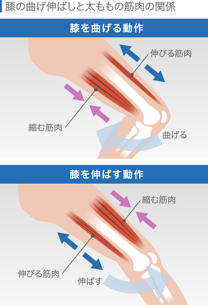 膝の違和感の症状チェック 痛くないけど気になる原因と対処法 膝の違和感の症状チェック 痛くないけど気になる原因と対処法