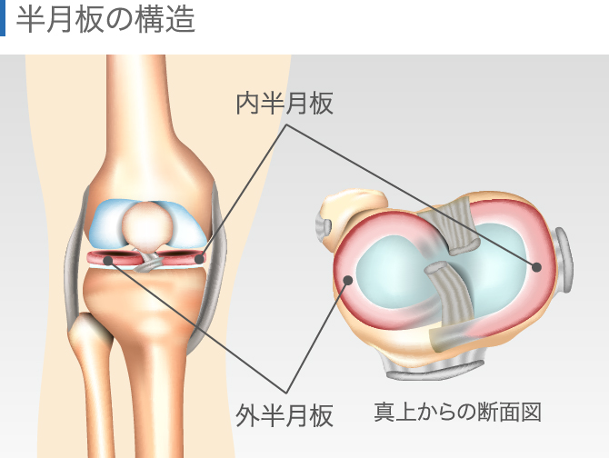 膝の違和感の症状チェック 痛くないけど気になる原因と対処法 膝の違和感の症状チェック 痛くないけど気になる原因と対処法