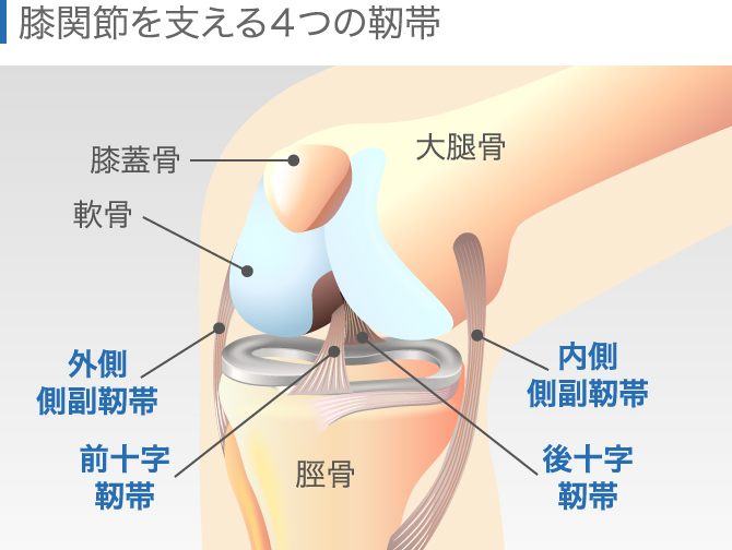 膝の違和感の症状チェック 痛くないけど気になる原因と対処法 膝の違和感の症状チェック 痛くないけど気になる原因と対処法
