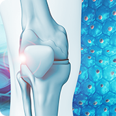 培養幹細胞治療