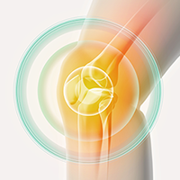 膝関節に効いているイラスト