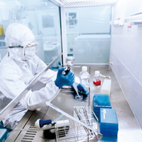 クリーンベンチでの細胞加工