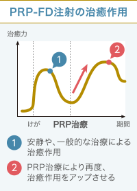 PRP-FD注射の効果発現のイメージグラフ