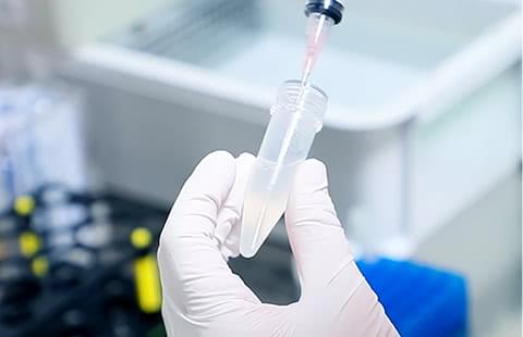 研究と臨床の間で感じた、再生医療の可能性