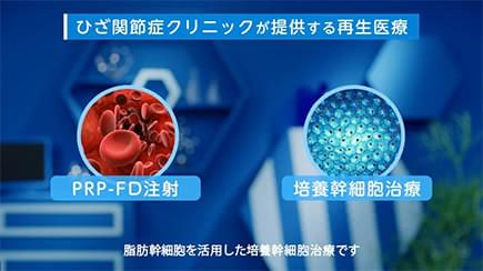 治療は２種類。「PRP-FD注射」と「培養幹細胞治療」